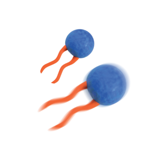 Component 243 – 1@2x