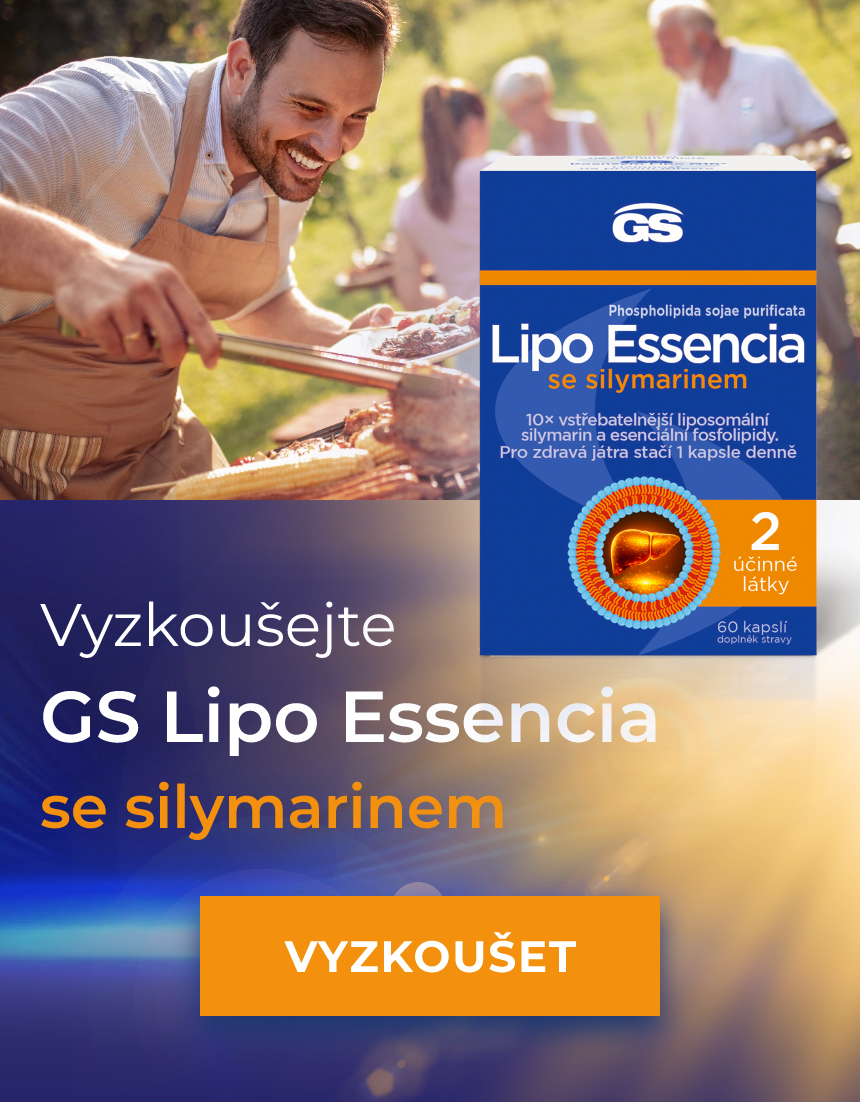 Component 281 – 1@2x