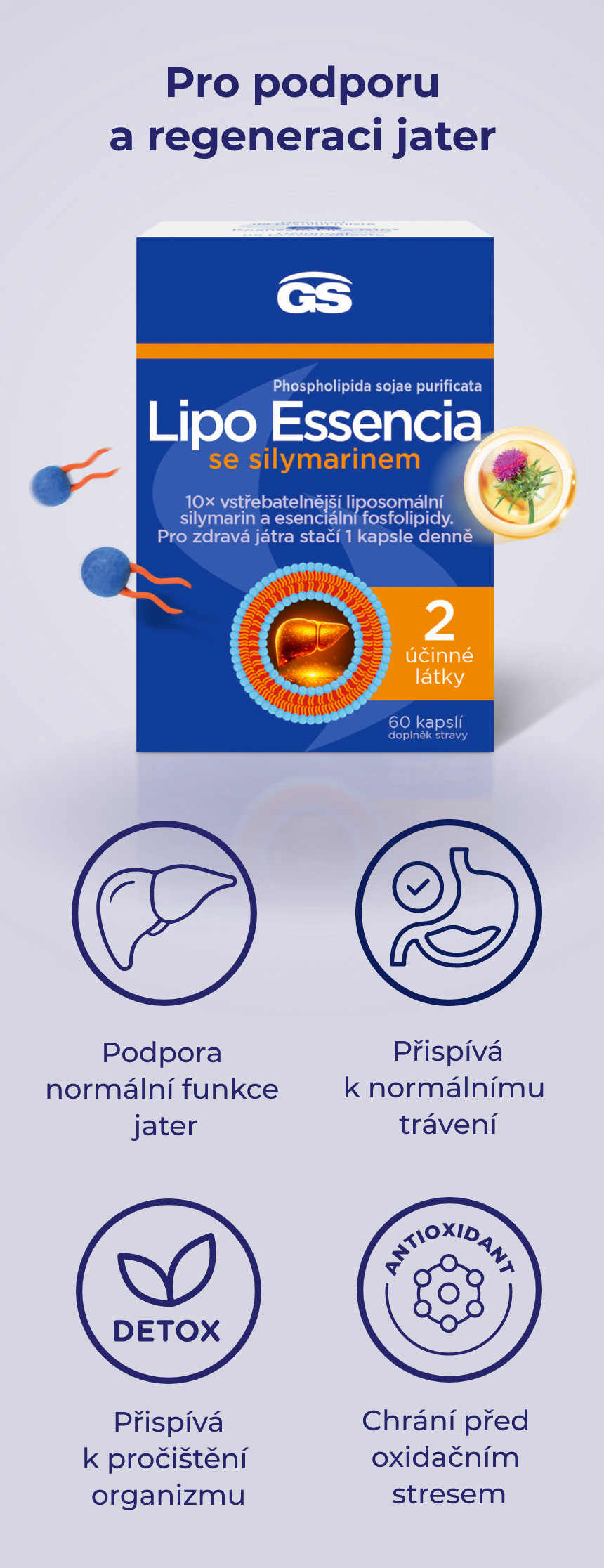 Component 282 – 1@2x