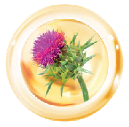 Kytka-bublina_pruhlednost@2x